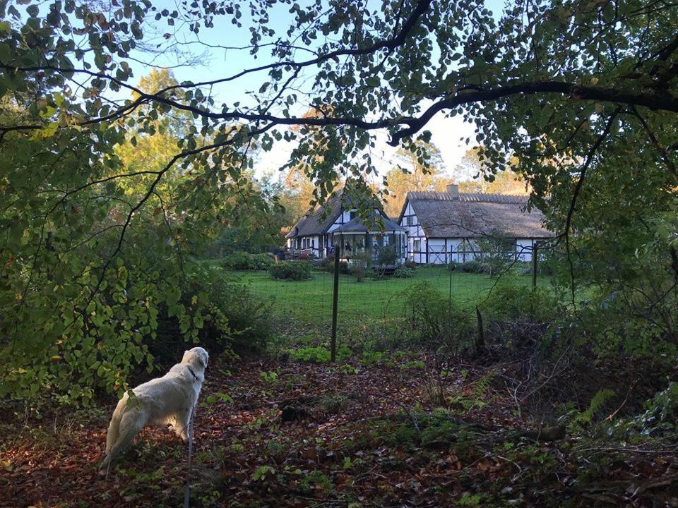 The Foresters House- Idyllic Tranquility- Non Smokers Only Store Heddinge 外观 照片