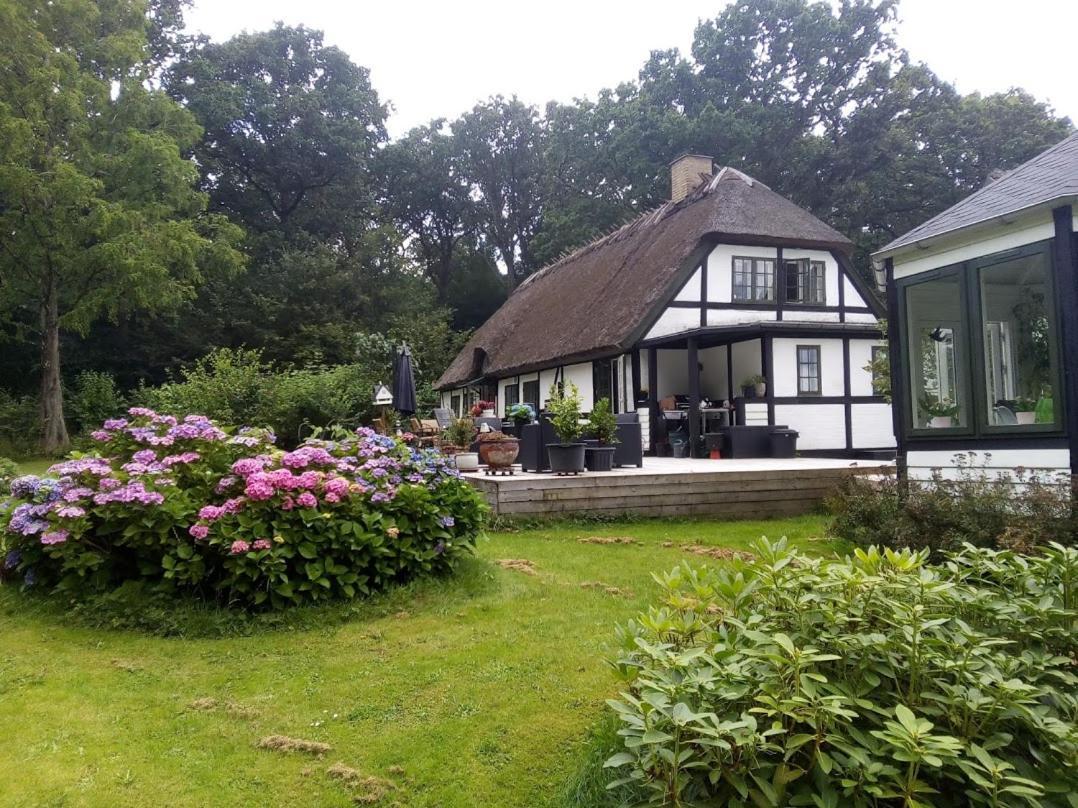 The Foresters House- Idyllic Tranquility- Non Smokers Only Store Heddinge 外观 照片