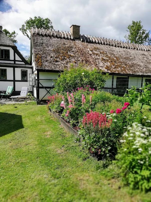 The Foresters House- Idyllic Tranquility- Non Smokers Only Store Heddinge 外观 照片