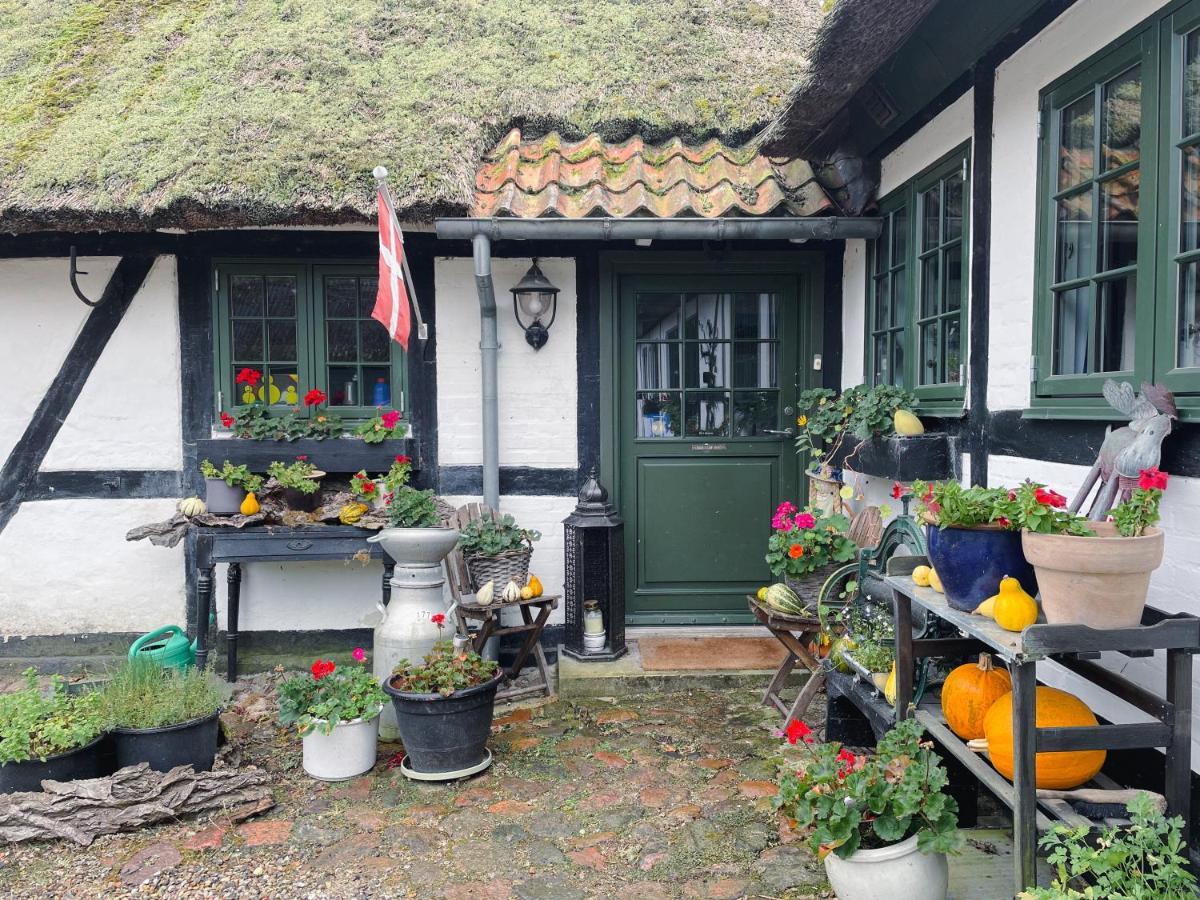 The Foresters House- Idyllic Tranquility- Non Smokers Only Store Heddinge 外观 照片