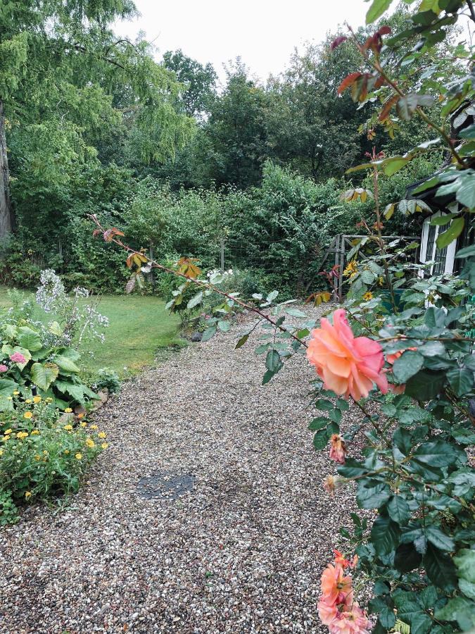 The Foresters House- Idyllic Tranquility- Non Smokers Only Store Heddinge 外观 照片
