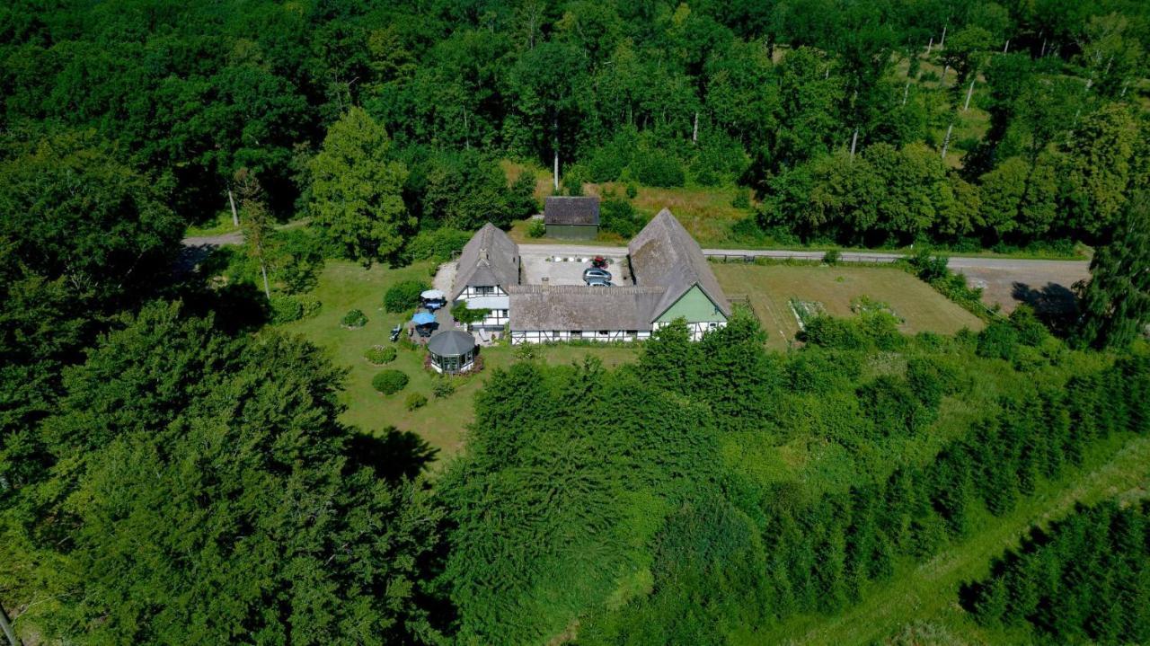 The Foresters House- Idyllic Tranquility- Non Smokers Only Store Heddinge 外观 照片